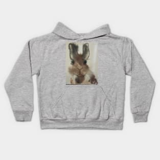 Chocolate easter bunny dark brown Kids Hoodie